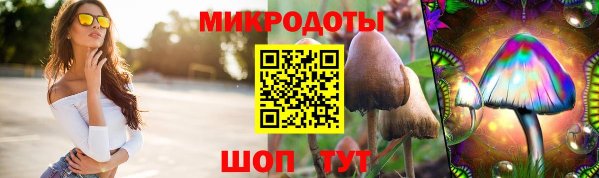 купить  цена  Вход с VPN  Псилоцибиновые грибы мицелий  Нягань  Галлюциногенные грибы Psilocybine cubensis 
